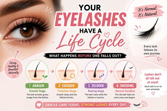 Natural eyelash life cycle showing lash growth, mature eyelashes, resting stage, and natural shedding around a close-up human eye.