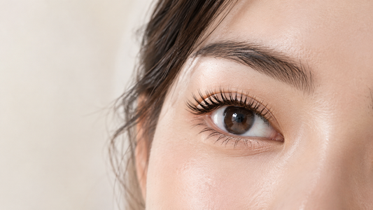 Korean Lash Lift: What Is It, How Is It Different, and Why Is It Trending in 2026? Iconsign UAE