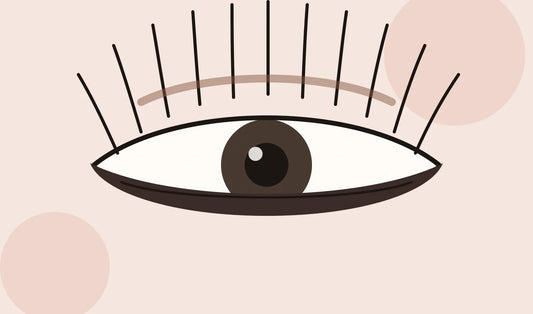 A Complete Guide to Eyelash Extensions: Types, Curl, Aftercare and What to Expect in the UAE Iconsign UAE
