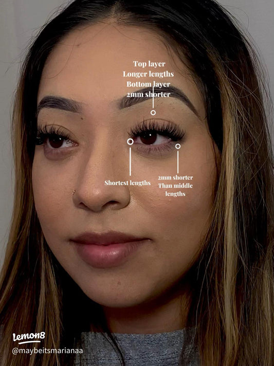 Close-up of natural eyelashes showing different lash lengths and layers along the lash line.