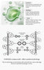 Iconsign Plant Extract Lash Lift Kit – Natural Curl & Lift for Stunning Eyelashes Iconsign UAE