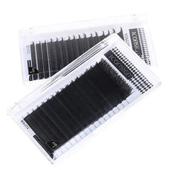 Korean eyelash extensions on transfer strip ready for easy application