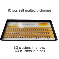 Nesura Individual Eyelash Clusters Box – 60 Clusters DIY Grafted Volume Lashes (8mm - 13mm) Iconsign UAE