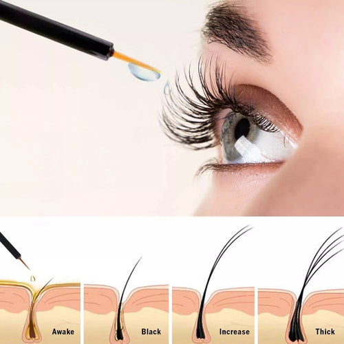 How Does Lash Serum Work in the UAE?
