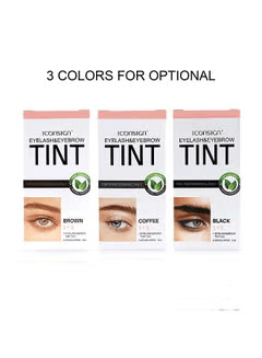 Complete Iconsign Brow and Beard Tinting Kit showing brushes, mixing tools, and black tint for home use in UAE